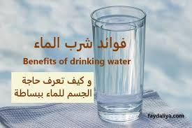 فوائد شرب الماء فائدة لي