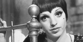 Liza Minnelli, una estrella total