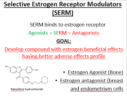 Image result for Selective Estrogen Receptor Modulator