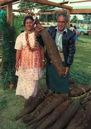 A Yam Is A Yam I Always Thought The Potato Like Vegetable With Bright Orange Flesh Could Be Referred To As Either A Ya Yams Vs Sweet Potatoes Yams Tongan Food Tongans love to grow starch root crops such as sweet potatoes, yams and tapioca.