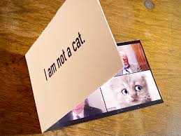 Make sure nails or staples do not protrude in such a way that your cat could be scratched or cut. I Am Not A Cat Make The Meme Dyi Mechanical Card