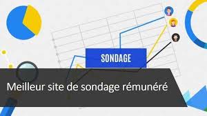 Nous te rémunérons pour ta participation aux nous t'offrons la possibilité de participer à des sondages en ligne sur internet. Sondage Remunere Top 10 Des Meilleurs Sites Qui Payent