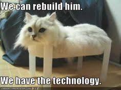 Funny Cat Sitting On A Small White Table We Can Rebuild Him We Have The Technology Bones Funny Funny Pictures Funny Meme Pictures