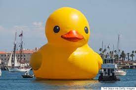 Canada Gets Giant Rubber Duck For Its Birthday Because A Loon Is Too Damn Expensive Huffpost Null