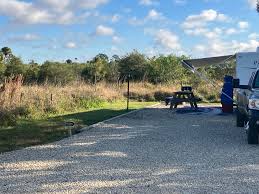 Image result for Kampochloa