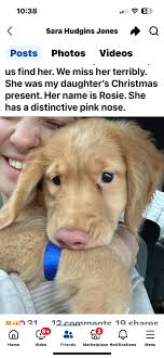 If anyone knows how to reach Patty Golden, please tell her that Chief  Spivey at RPD wants to reach her and lost her contact information.