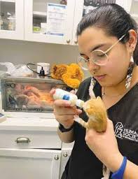 Paw Prints Winter 2025 by Humane Society of Broward County