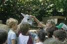Developing a classy petting zoo area will complement the business ventures you have on your small acreage.if you are into such things as , raising chickens, trying to make a living by cultivating row crops or operating a roadside vegetable stand, a petting zoo is a natural diversification. Petting Zoos Definition Of Petting Zoos By The Free Dictionary