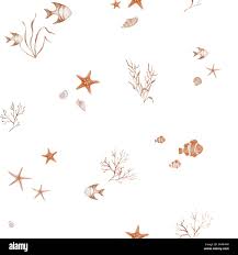 Image result for Centrostigma occultans