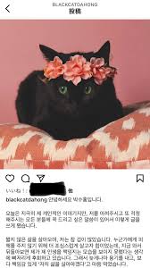 식을 치르기에 앞서 부부의 인연을 먼저 맺게 된 것은, 제 미래를 함께 하고 싶 9vjj Lr8ke92um