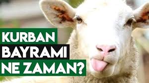 Kurban bayramı hangi tarihlerde en çok merak edilen konu olduğu. Kurban Bayrami Ne Zaman 2021yili Kurban Bayrami Tarihi