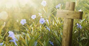 Maybe you would like to learn more about one of these? 18 Bible Verses About Spring Beautiful Scripture Quotes