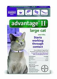 Bayer Advantage Ii Flea Prevention For Large Cats Over 9 Lb 6 Doses Flea Control For Cats Cat Fleas Large Cats