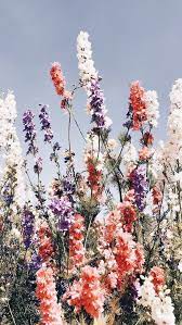 Check out our floral pinterest selection for the very best in unique or custom, handmade pieces from our shops. Aesthetic à¹ƒà¸™à¸› 2021