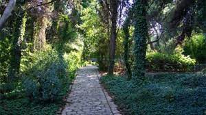 grece hebdo le jardin botanique diomidous un coin vert plein de charme