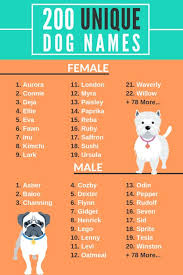Fiyero (wicked) armad (the vamp. 200 Unique Dog Names Male And Female Help Your Dog Stand Out Puppy Girl Names Puppy Names Dog Names