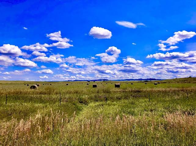 I'm not from the US, but I gotta ask — does Nebraska really look like this,  or is it just all the open fields and big skies that make it feel so