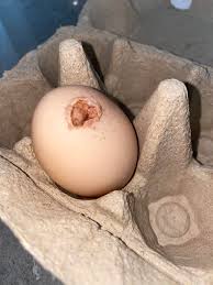 What causes old ISA hens to lay abnormal eggs?