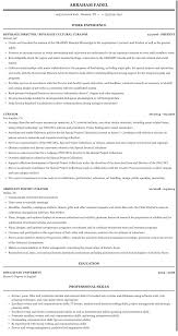 curator resume sample mintresume