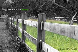 The Grass Is Always Greener On The Other Side Of The Fence Examples Avery Moore Thinks The Grass Is Always Greener On The Other Side Is An Important Theme In The Novel This Theme Portrays To T Green Historical Background Photo
