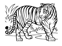 Coloriage gratuit de l'animal le faucon à imprimer et à colorier. Coloriages Animaux Sauvages De La Jungle Animaux Album De Coloriages