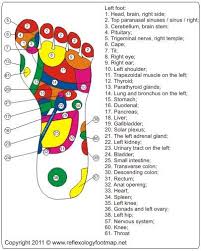 Reflexology Foot Map Reflexology Foot Map Foot Reflexology Reflexology