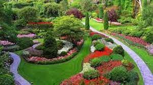 Jika sudah mekar sempurna, pot bunga ini bisa kamu tempatkan di atas tembok pagar atau digantung di halaman depan rumah sebagai taman vertikal yang cantik. Desain Taman Bunga Di Halaman Rumah Masa Kini Youtube