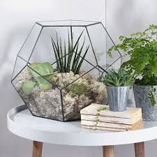 Large Modern Pentagon Ball Artistic Clear Glass Geometric Terrarium Succulent Fern Moss Plant Terrarium Bonsa Rustic Garden Decor Terrarium Geometric Terrarium