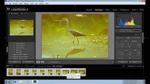 Open lightroom and make sure you are in the develop tab. How To Apply Lightroom Preset To All Photos Youtube