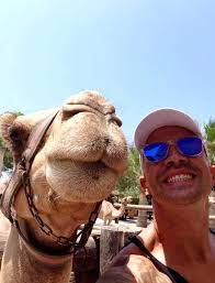 The camel park sunny beach is conveniently located only 5 minutes from nessebar and 10 minutes form sunny beach, located between sunny beach and enjoy a cup of tea, coffee, a beer or a meal in our restaurant overlooking to the bay of sunny beach. Camel Park In Cyprus My Guide Cyprus