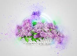 Planse de colorat cu o floare. Flori Liliac Cos Imagine GratuitÄƒ Pe Pixabay