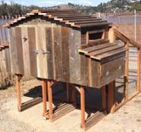Chicken Coops and Hen Houses – Durable Backyard Designs