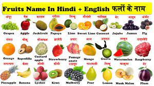 Also, scientific names of fruits have also been given. Fruit Names In English And Hindi With Pdf à¤«à¤² à¤• à¤¨ à¤® à¤¹ à¤¨ à¤¦ à¤à¤µ à¤… à¤— à¤° à¤œ à¤­ à¤· à¤® Pdf Ke Sath Youtube