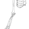 This page is about foot anatomy bones diagram,contains foot pain: Https Encrypted Tbn0 Gstatic Com Images Q Tbn And9gcqkk Nvmepmoocqghbf6x8wf1o9miuidlhsga9n1qvdzht9dnm Usqp Cau