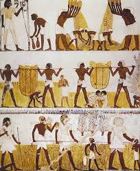 Ancient Egyptian Painting Showing Everyday Life Found In The New Kingdom Tomb Of Mennah At Thebes Ancient Egypt Ancient Egypt Art Egyptian History