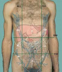 Suffering from severe abdominal pain lower/middle left abdominal pain. Skeleton And Walls Of Abdomen