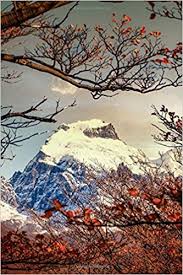Ultimate 2021 ski resort and backcountry guide. Notebook Patagonia Argentina Chile Andes Mountains South America Wild Pages Press 9798646479830 Amazon Com Books