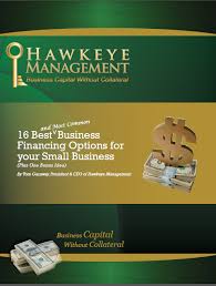 Free Ebook Of The Month Understanding Financing Options For Your Small Business Business Capital Finance Small Business Loans