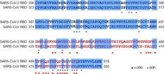 Become an official corona certified user! Structure Of The Sars Cov 2 Spike Receptor Binding Domain Bound To The Ace2 Receptor Nature