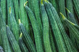 Image result for Luffa acutangula