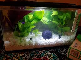 First Betta Tank Too Much Substrate Bettafish