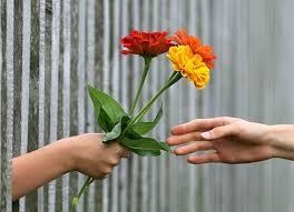 List of top 7 famous quotes and sayings about quotes bunga matahari to read and share with friends on your facebook, twitter, blogs. 7 Quotes Bunga Bahasa Inggris Dan Artinya Cocok Buat Caption Kumparan Com