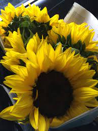 Sf Flower Mart Pre Party Flower Mart Yellow Aesthetic Flowers