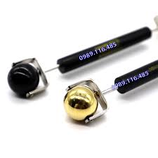 Lăn Đồng Sừng Láng Diện Chẩn