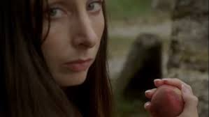 that vampire weekend song