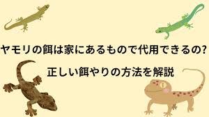 ヤモリ 餌 家 に ある もの