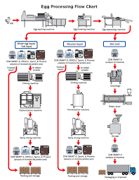 Egg Processing Flow Chart
