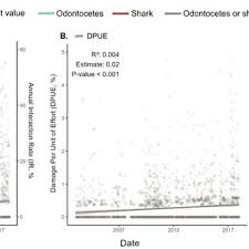 Image result for Polyphlebium borbonicum