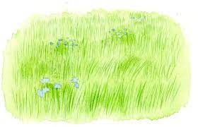 Craftsy Com Express Your Creativity Watercolor Flowers Tutorial Grass Painting Watercolor Landscape Paintings