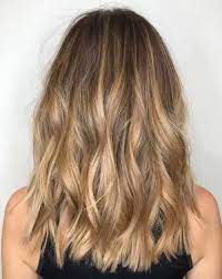 20 Honey Balayage Pictures That Really Inspire To Try Highlights Honey Balayage Light Brown Hair Short Hair Balayage